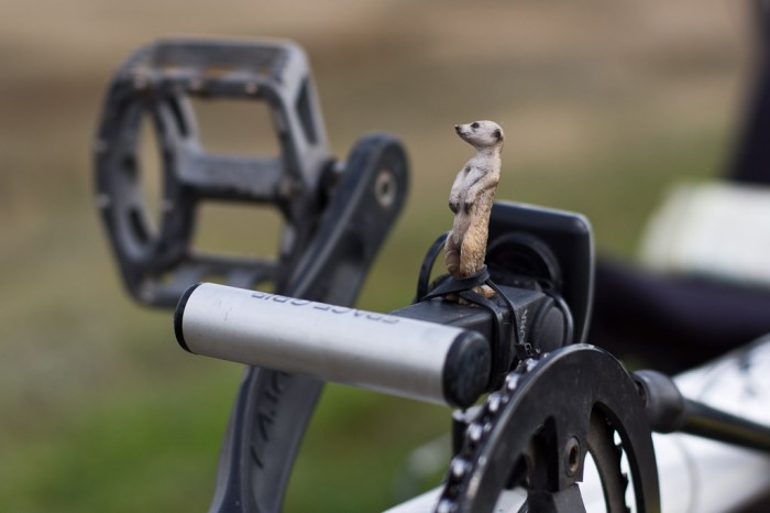 Les cyclistes anglais