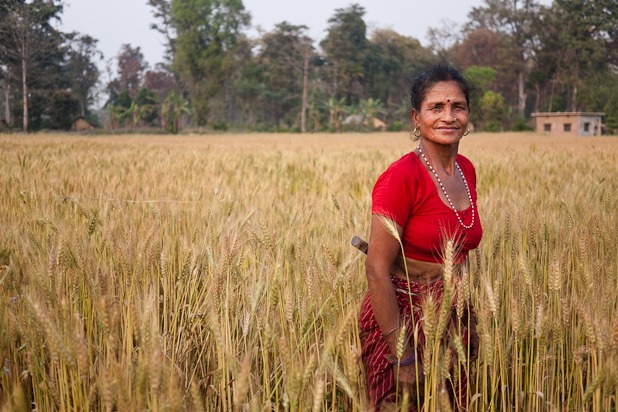 Bienvenu dans le Terai-2