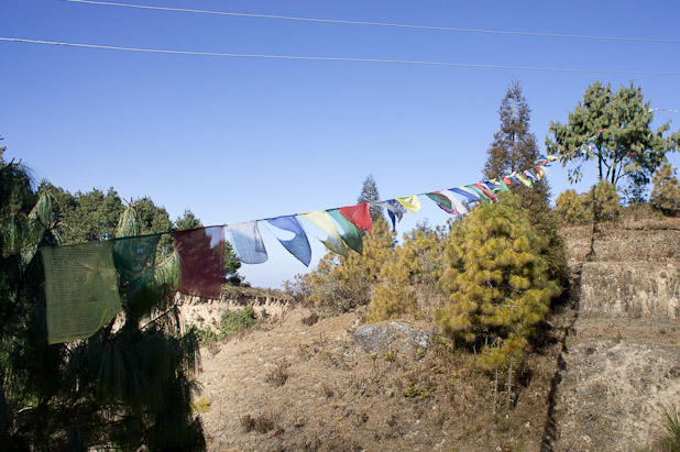 Flags in the wind