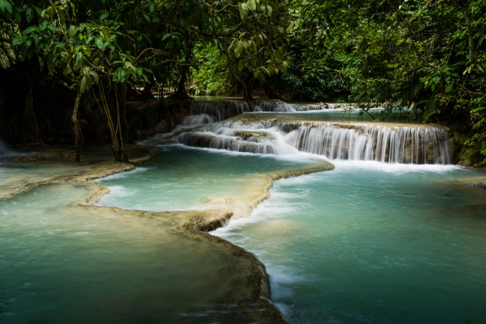 Kuang Si Falls and snake-2