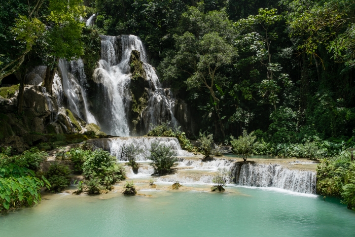 Kuang Si Falls and snake